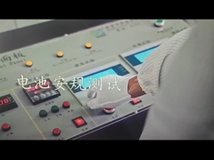 리튬 폴리머 배터리