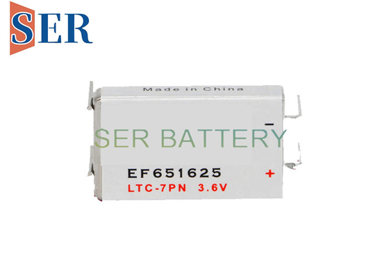 핀 단말기와 EF651625 3.6Volt LISOCL2 프리즘형 배터리 LTC-3PN